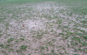 Entraînements U13 U15F et U18F annulés
