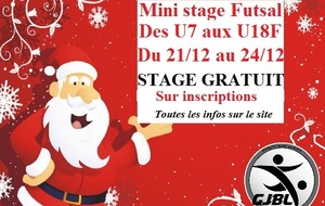 Mini stage de Noël
