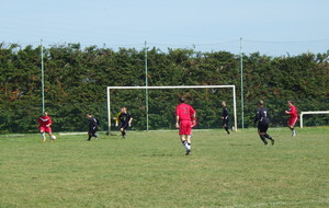 516c6da571039_ASBTBPlumaugatA1.JPG