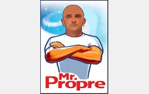 Mr Clean sheet