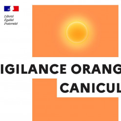 Séances mercredi 27 Mai annulées